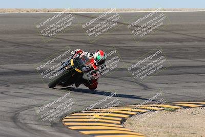 media/Oct-06-2024-Race Pace (Sun) [[d7d39ec7ad]]/9-Bowl Exit (940am)/